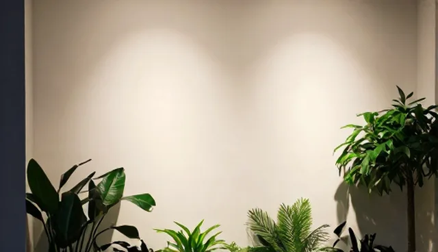化方案应用误区及性能提升方向
